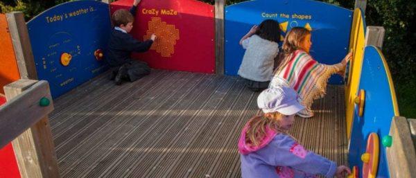 Exploring the Benefits of Interactive Play for Cats