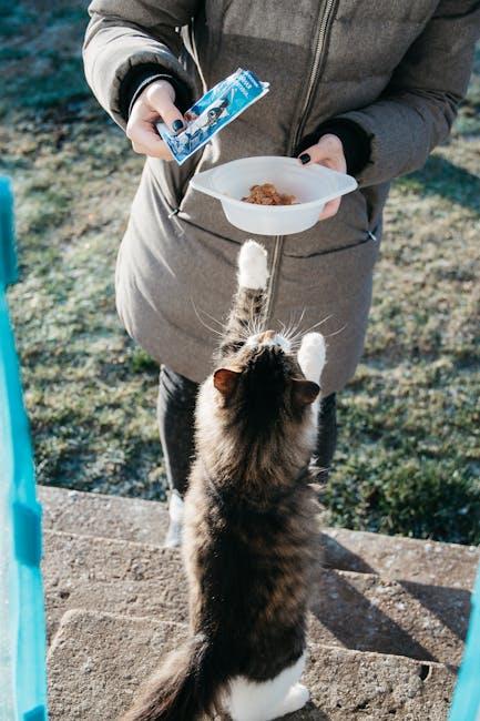 Feeding Tips and‍ Recommendations for Best Results ⁣with Savor Cat Food
