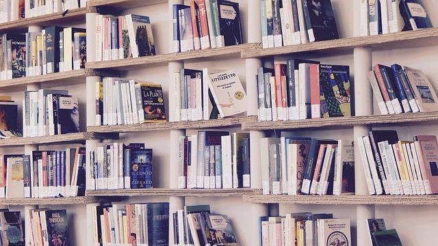 Understanding the Game Library: Physical vs Digital