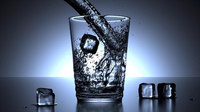 Understanding the importance of hydration for ⁣Your‍ Pets
