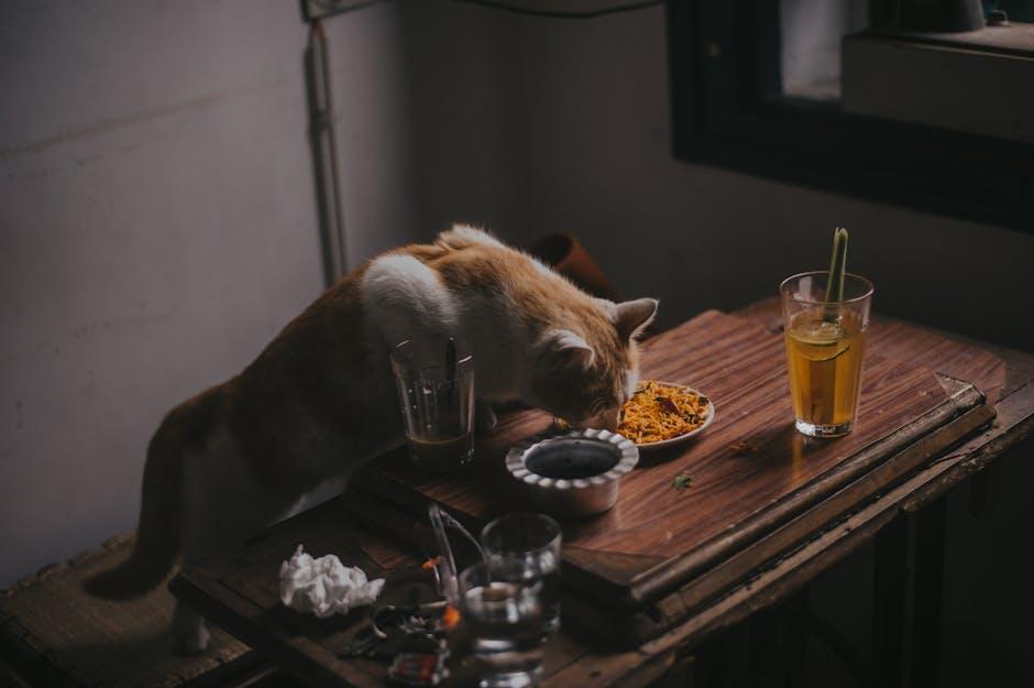 Tasty Flavor Profiles: What⁣ Makes Savor a Cat Favorite