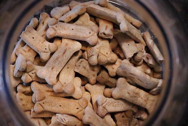 Expert recommendations⁤ for Optimal Feeding Practices