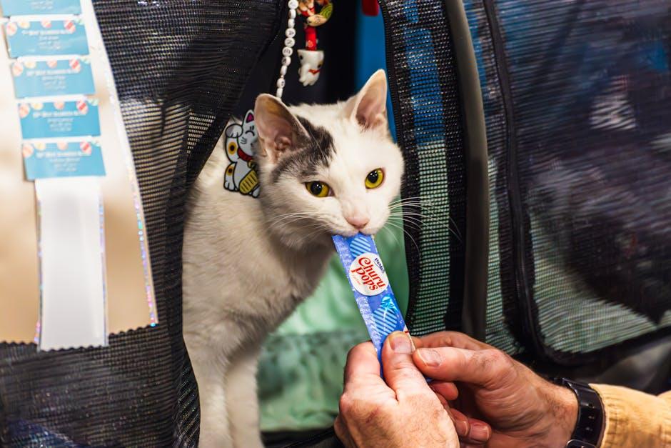 Customizable Feeding Schedules to Suit Your Pet's Lifestyle