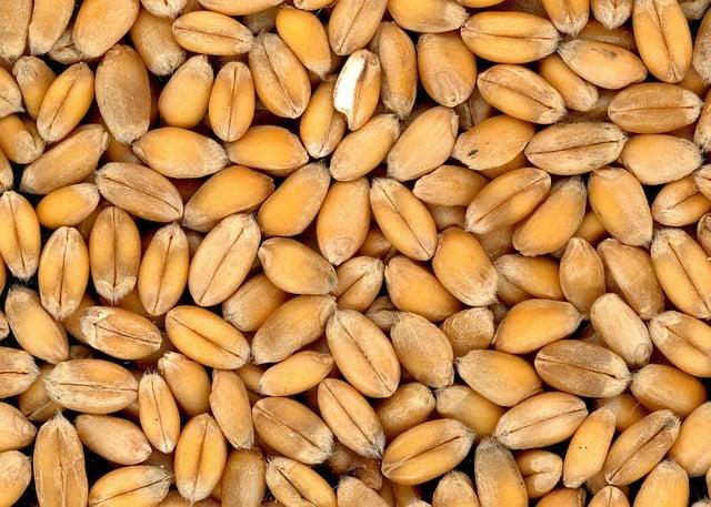 Best Practices for​ Transitioning to ⁣a Grain-Free Diet