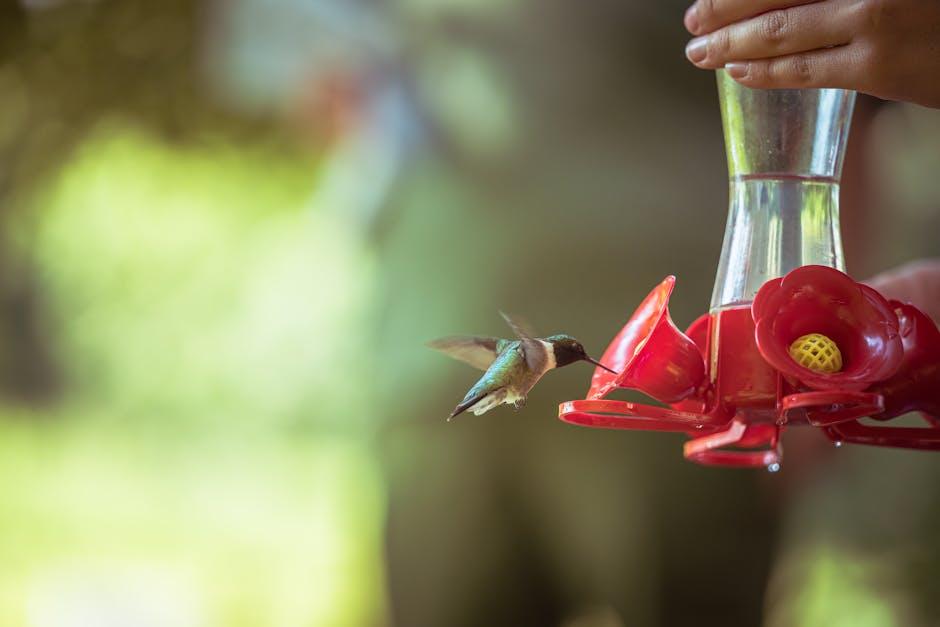Easy Setup and Maintenance for Busy Pet Owners
