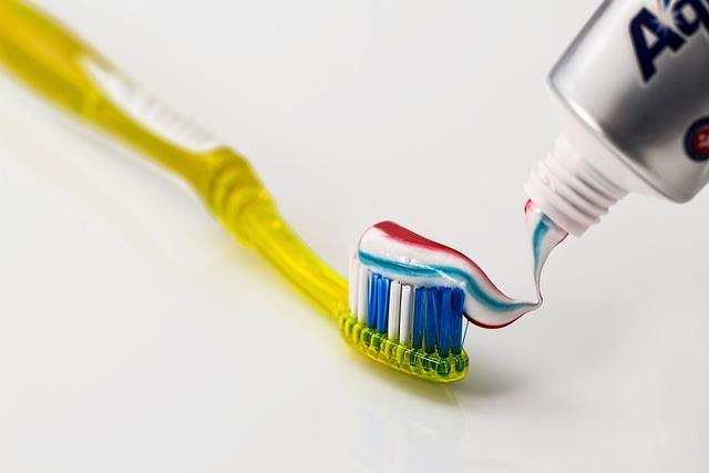 exploring⁤ the Benefits ​of⁤ Blue Buffalo‍ Dental ‌Bones ⁣for Your Dog's Oral Health