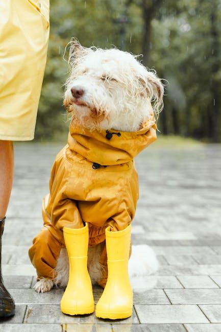 Choosing ⁤the right Size and Design for⁣ Your Pet's Needs