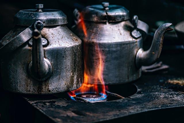 Mastering​ Outdoor Cooking Techniques with Your Sportsman’s Grill