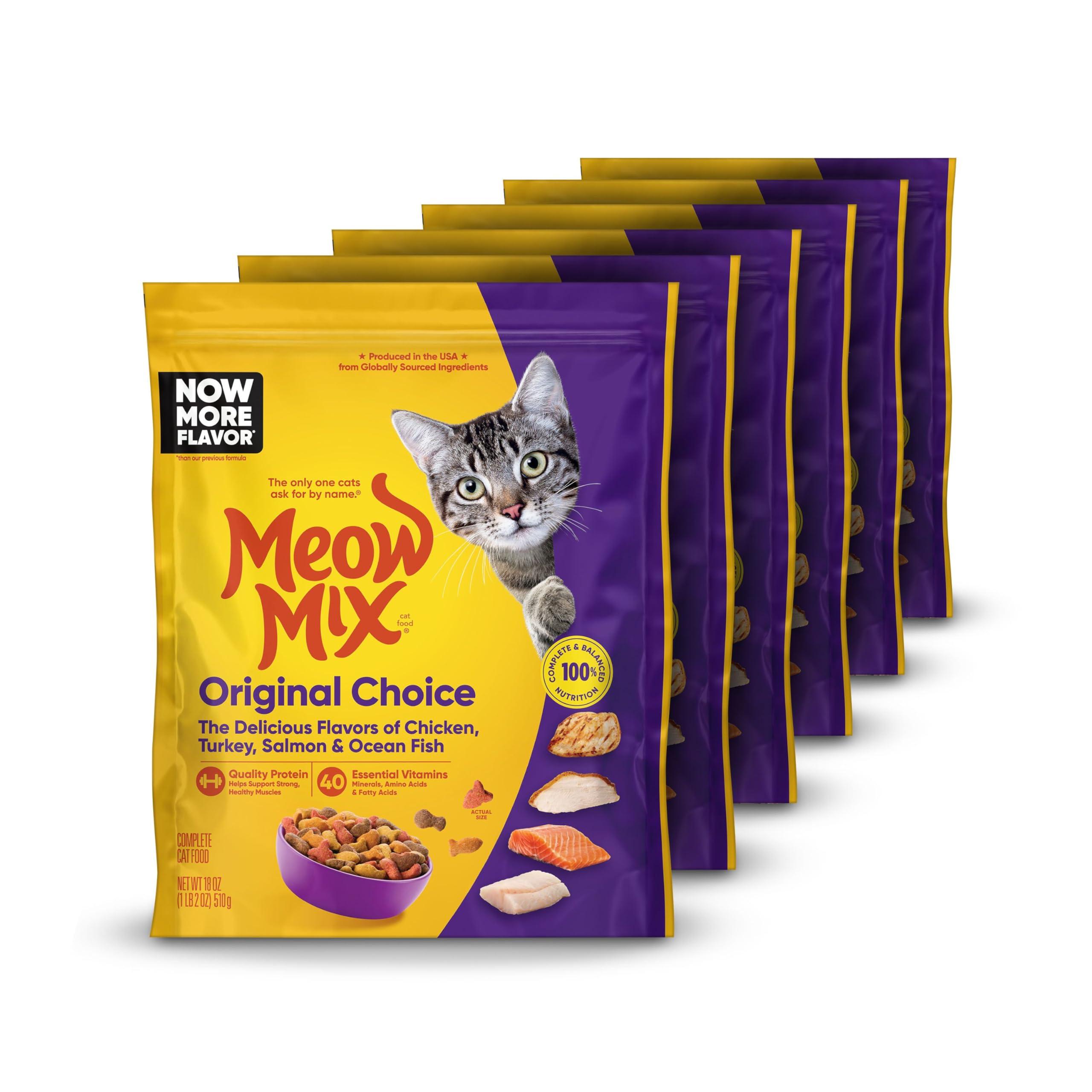 Guidelines for Transitioning Your Cat to ‌a Gastroenteric Diet
