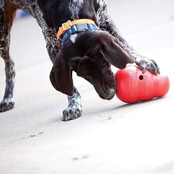 Tips for introducing⁢ the Kong Wobbler to Your Dog’s Routine