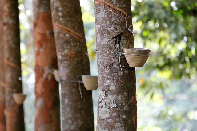 Unleashing Nutrient Extraction‌ for Healthier Living