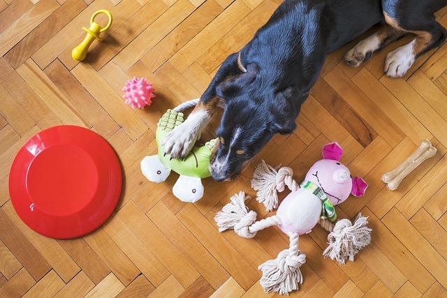 Engaging with Playtime: Enhancing Mental Stimulation and Bonding