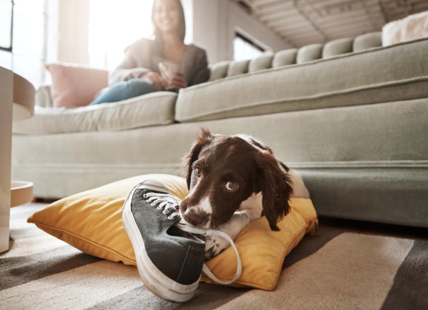 Filling Techniques⁤ That Enhance Your Puppy's Chewing Experience
