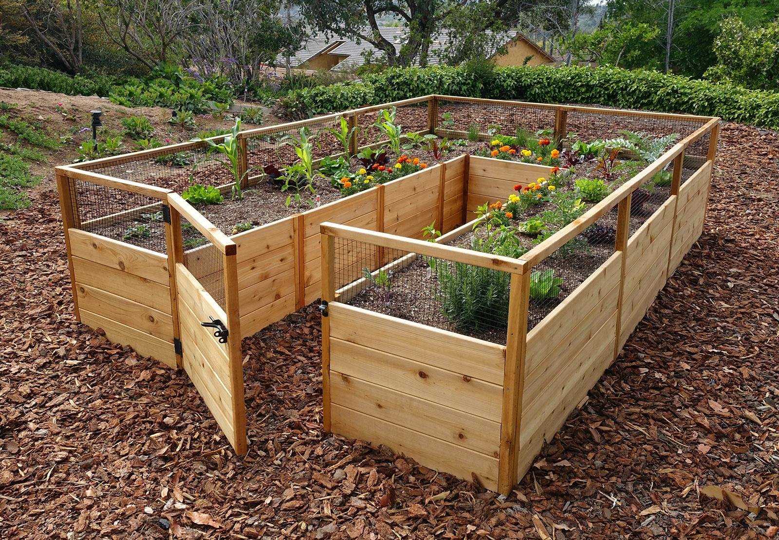 Planning Your Vegetable ⁤Garden: From Site Selection to Crop Rotation