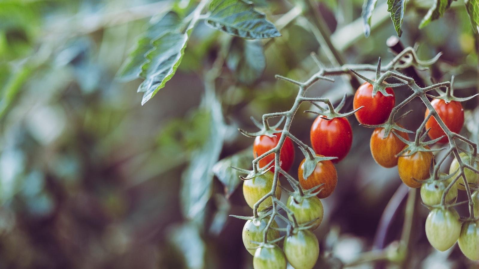 Choosing the Right Plants for Indoor Gardening: A‍ Guide to Thriving Varieties