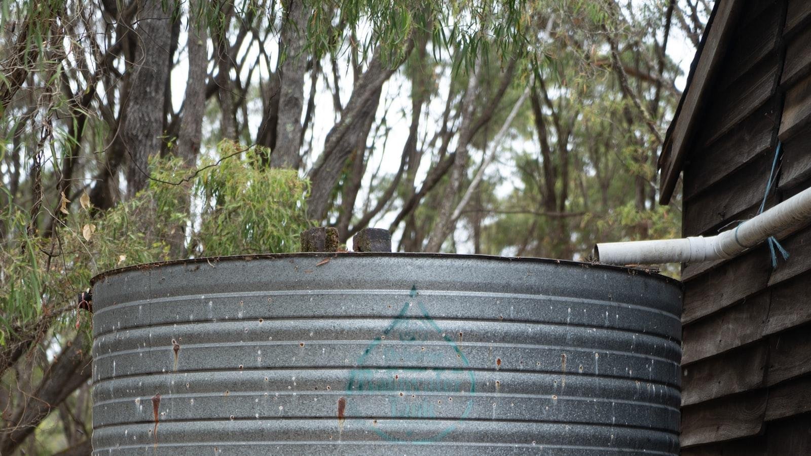 Tips and Practices for Maximizing⁤ Rainwater Usage ⁤in Your Garden