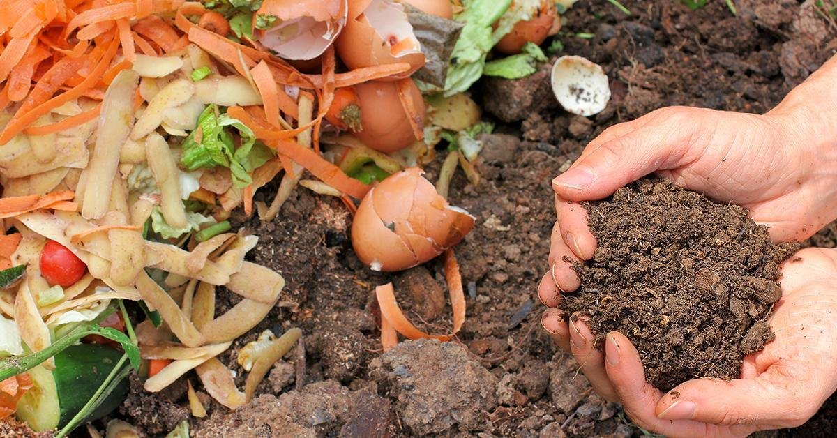 Do's and Don'ts of Composting:⁢ Expert ​Tips for⁤ Turning Kitchen Scraps into Nutrient-Rich Gold