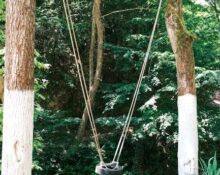 Fisher-Price Swing ‘n Snuggle: Multi-Motion Swing Review for Infants