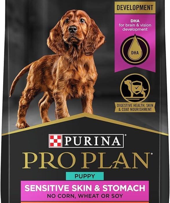 Purina Pro Plan Savor Shredded Blend Cat Food: Texture and Taste