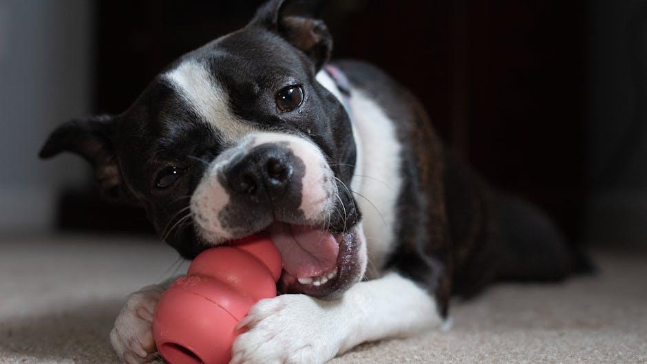 Kong Extreme Dog Toy: Heavy-Duty Chew for Aggressive Chewers