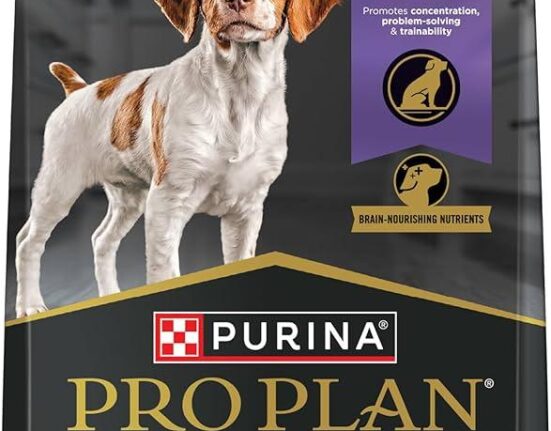 Purina Pro Plan Veterinary Diets EN Gastroenteric Cat Food: Digestive Care