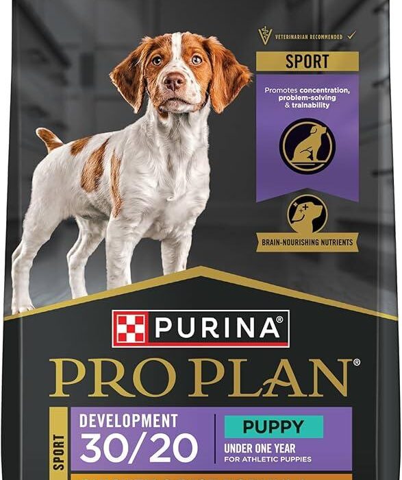 Purina Pro Plan Veterinary Diets EN Gastroenteric Cat Food: Digestive Care