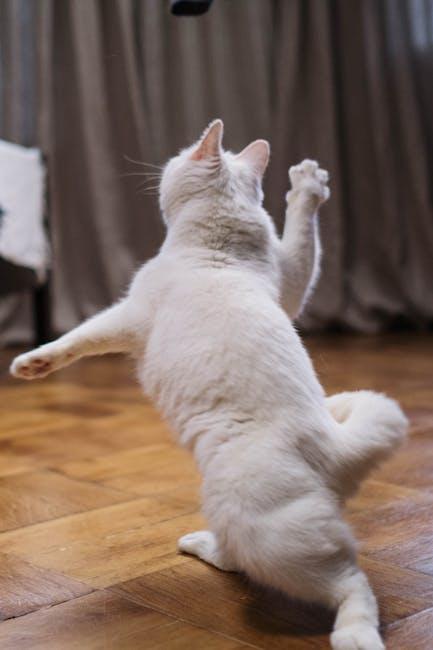Kong Cat Toy: Interactive Play for Feline Friends