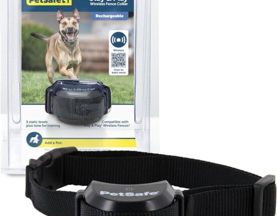 PetSafe Healthy Pet Simply Feed: Programmable Feeding for Multiple Meals