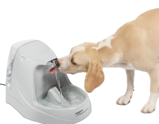 PetSafe Drinkwell Fountain: Hydration Solutions for Cats and Dogs