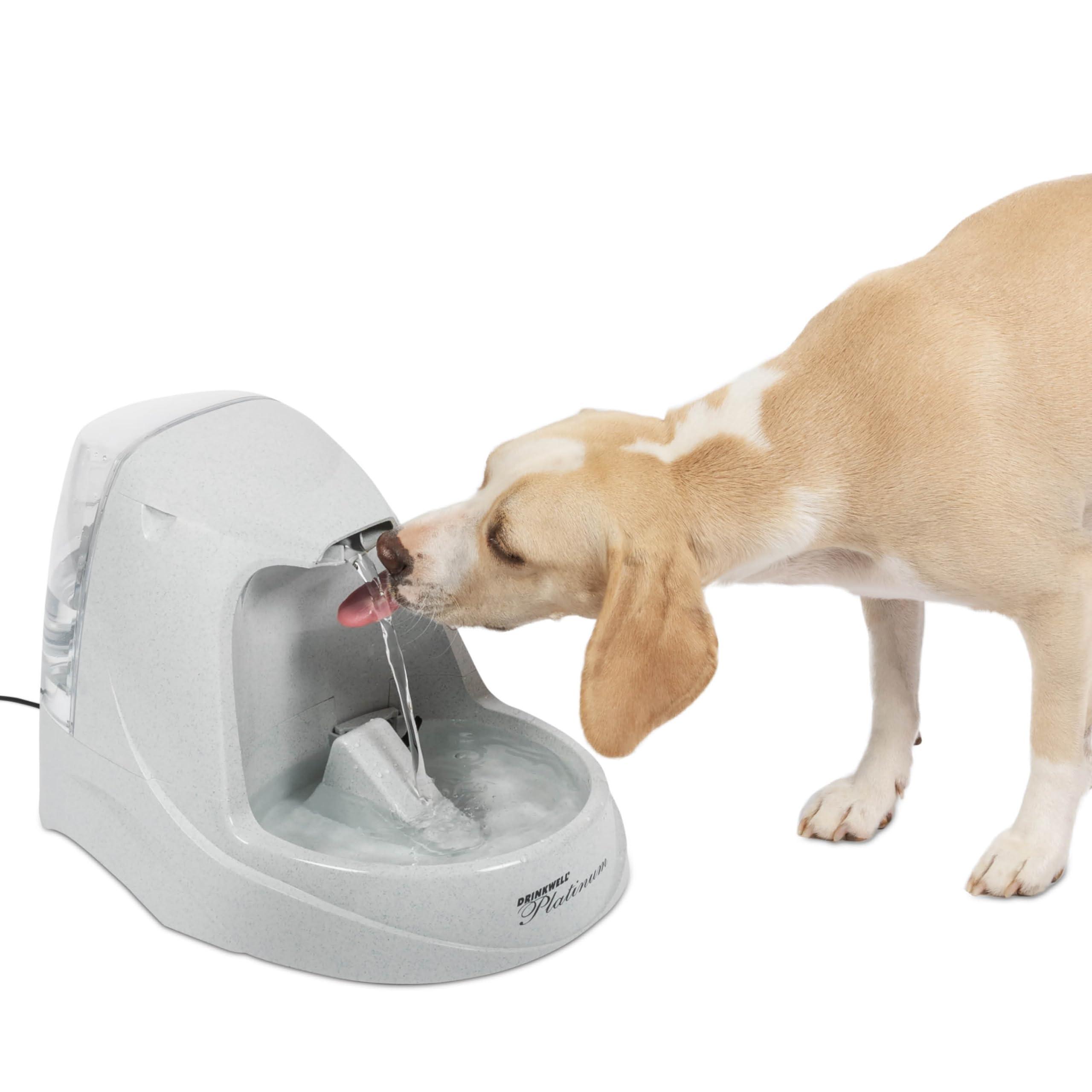 PetSafe Drinkwell Fountain: Hydration Solutions for Cats and Dogs
