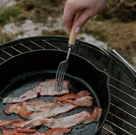 Lodge Cast Iron Sportsman’s Grill: Portable Outdoor Cooking